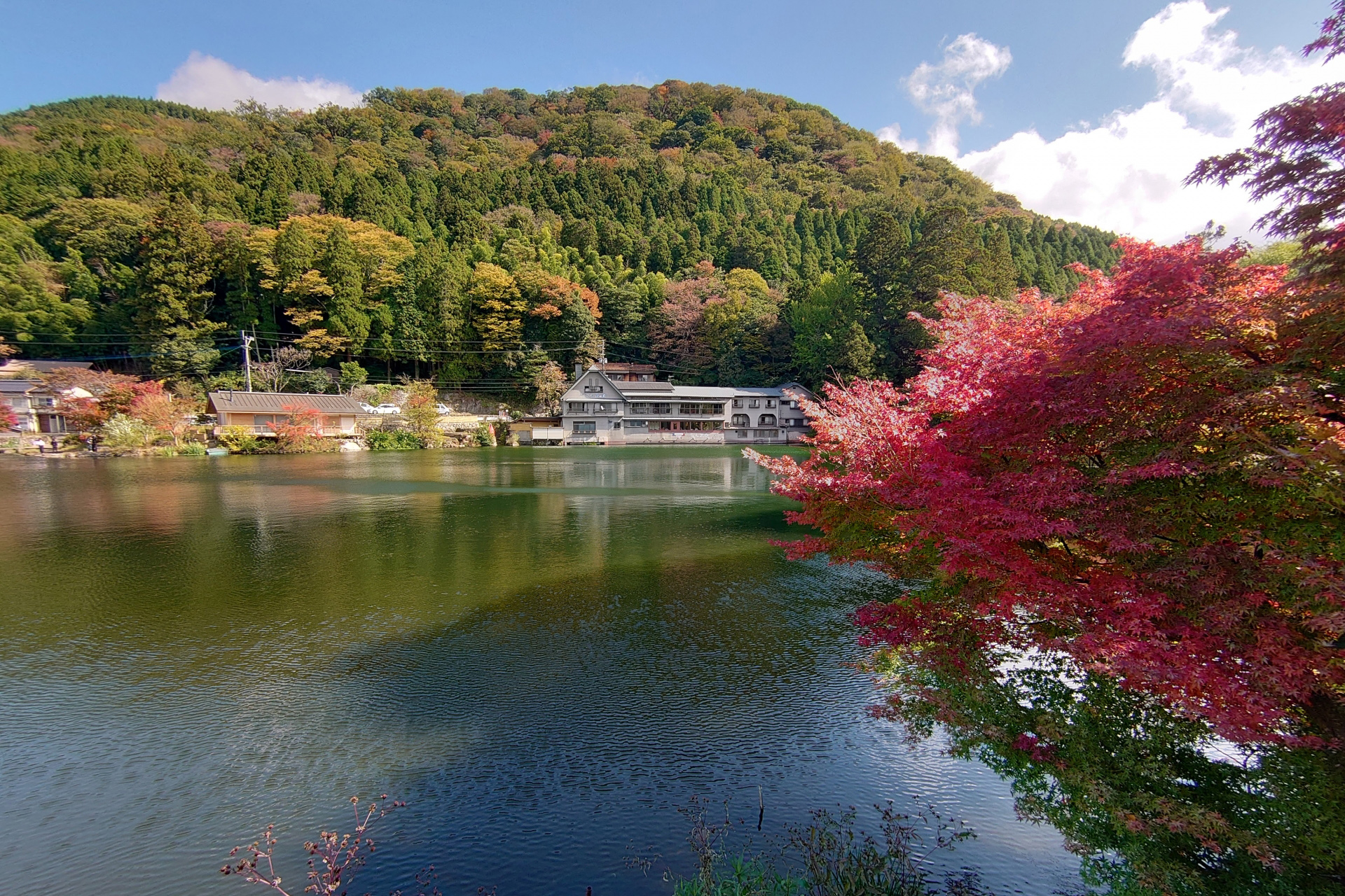 湯布院 金鱗湖 紅葉